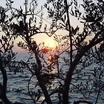 Gardasee Lazise Кола